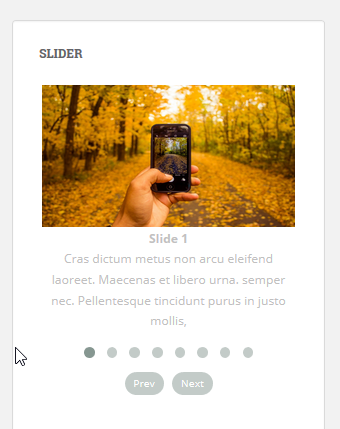 Add slider on page or post 10(Slider Responsive Gallery)