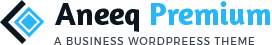 Aneeq Premium WordPress Theme