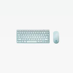 Apple Keyboard and Magic Mouse
