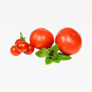 Tomato Fruit