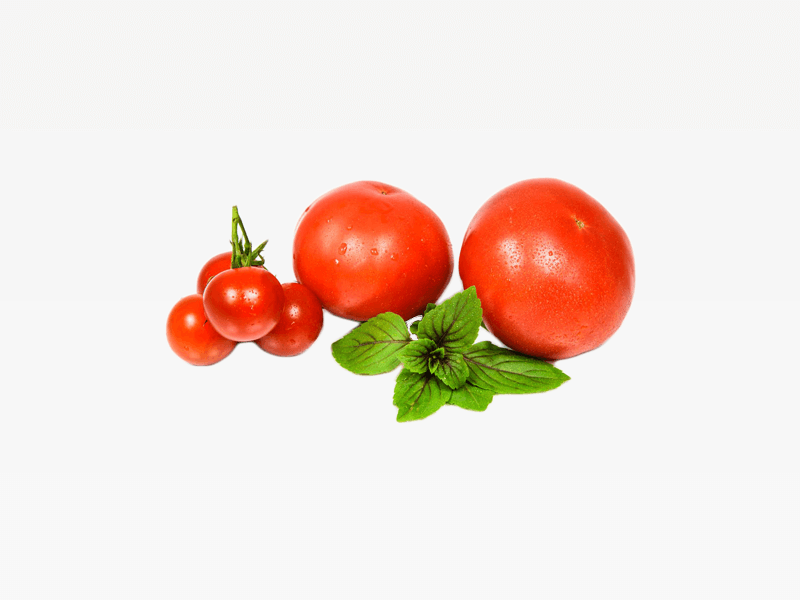 Tomato Fruit