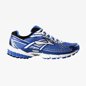 Blue and White Lace Up Shoe