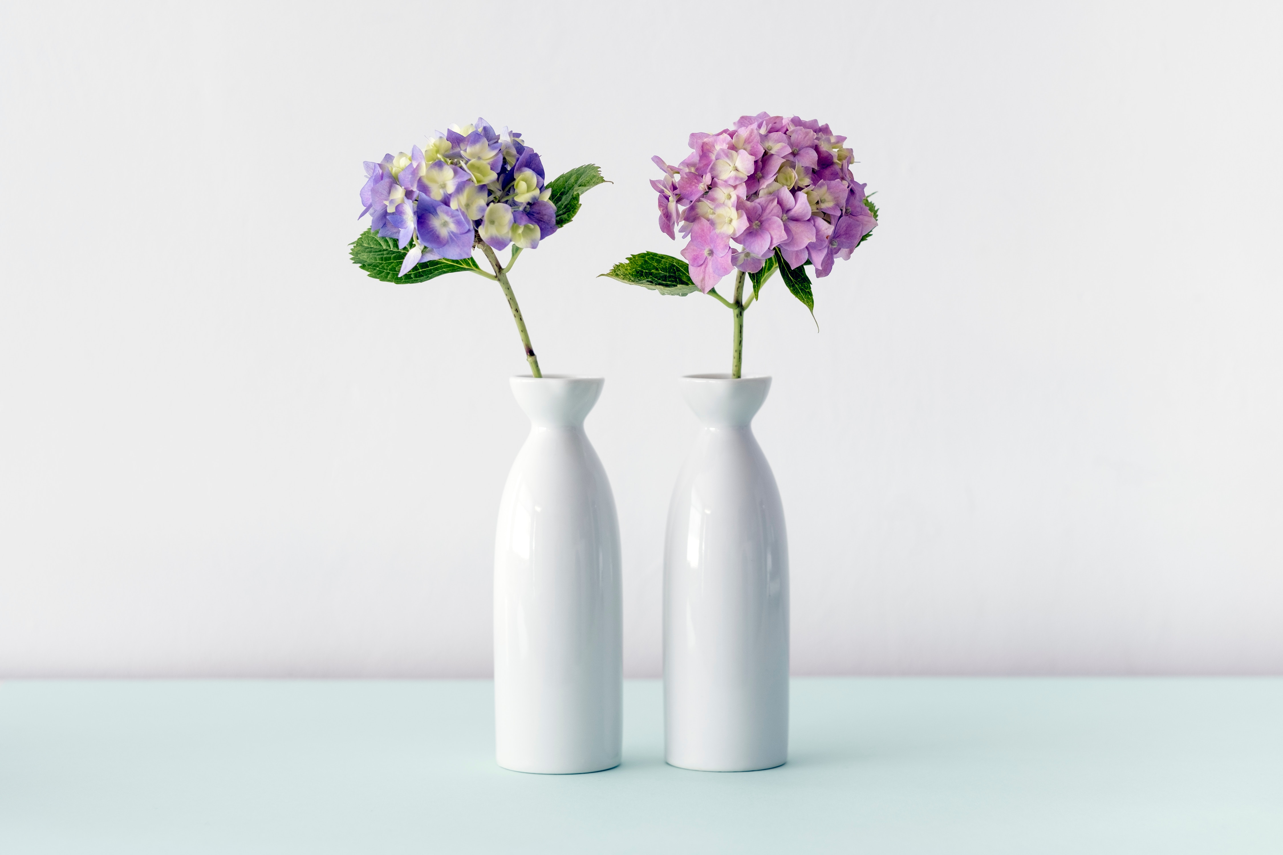 flower pots