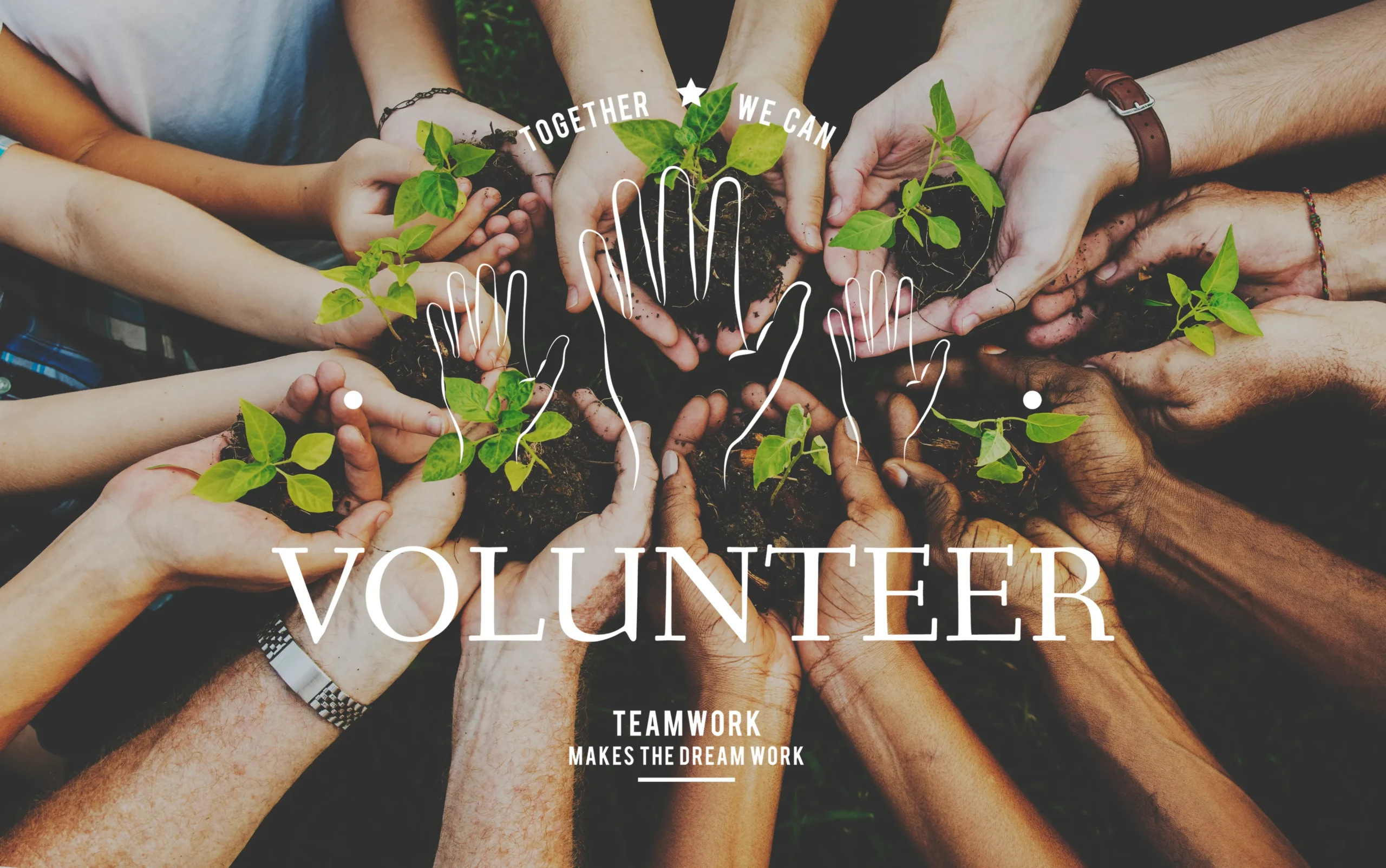 Community Volunteer Day