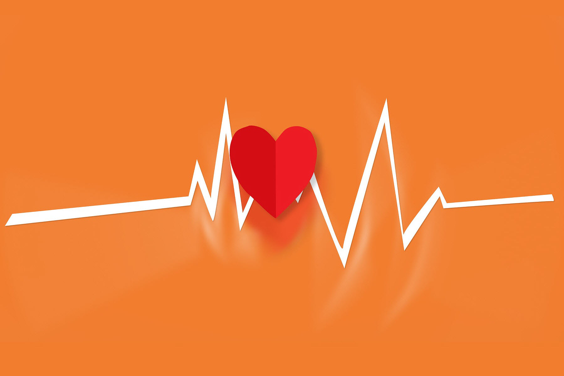 heart