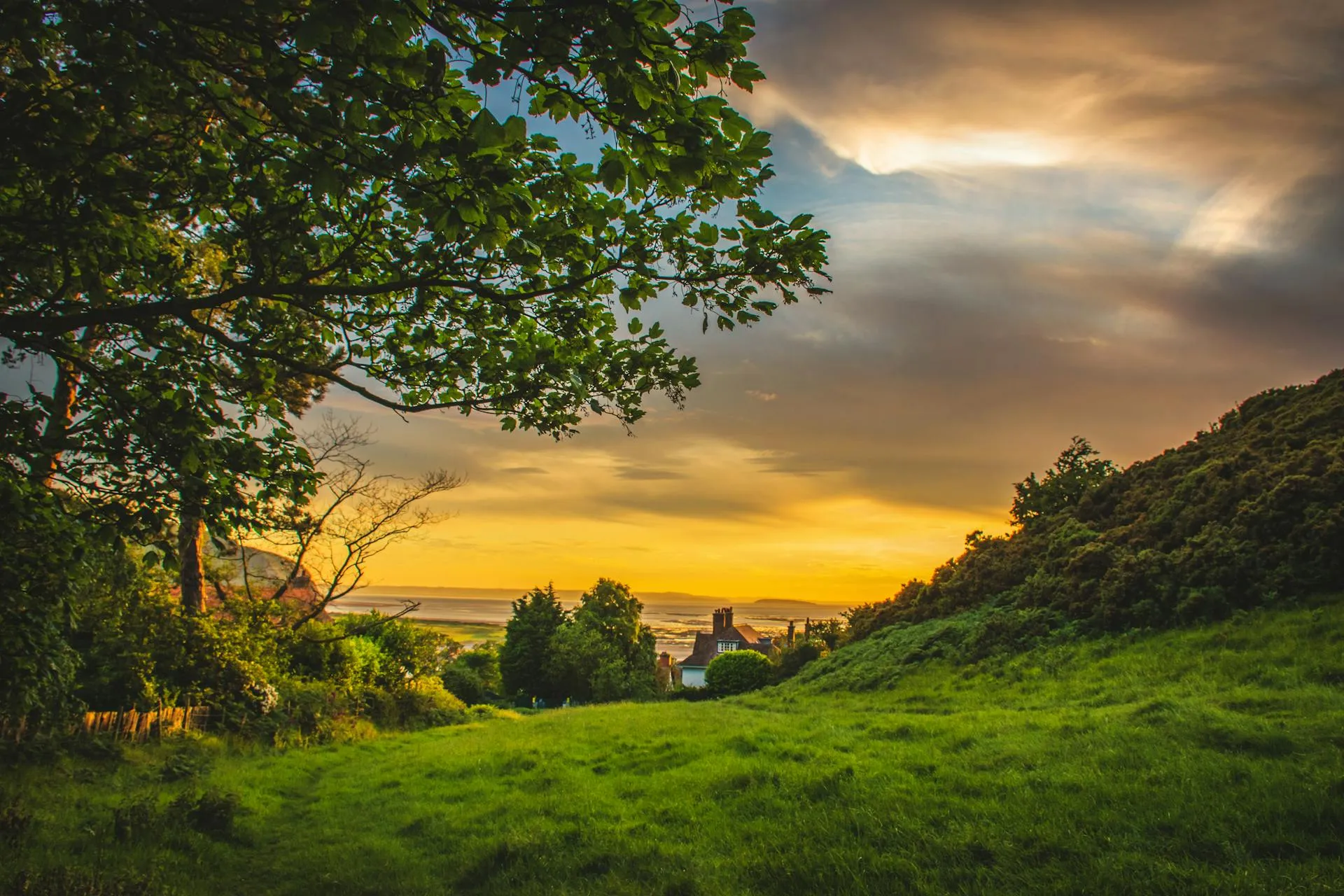 Golden hour photography