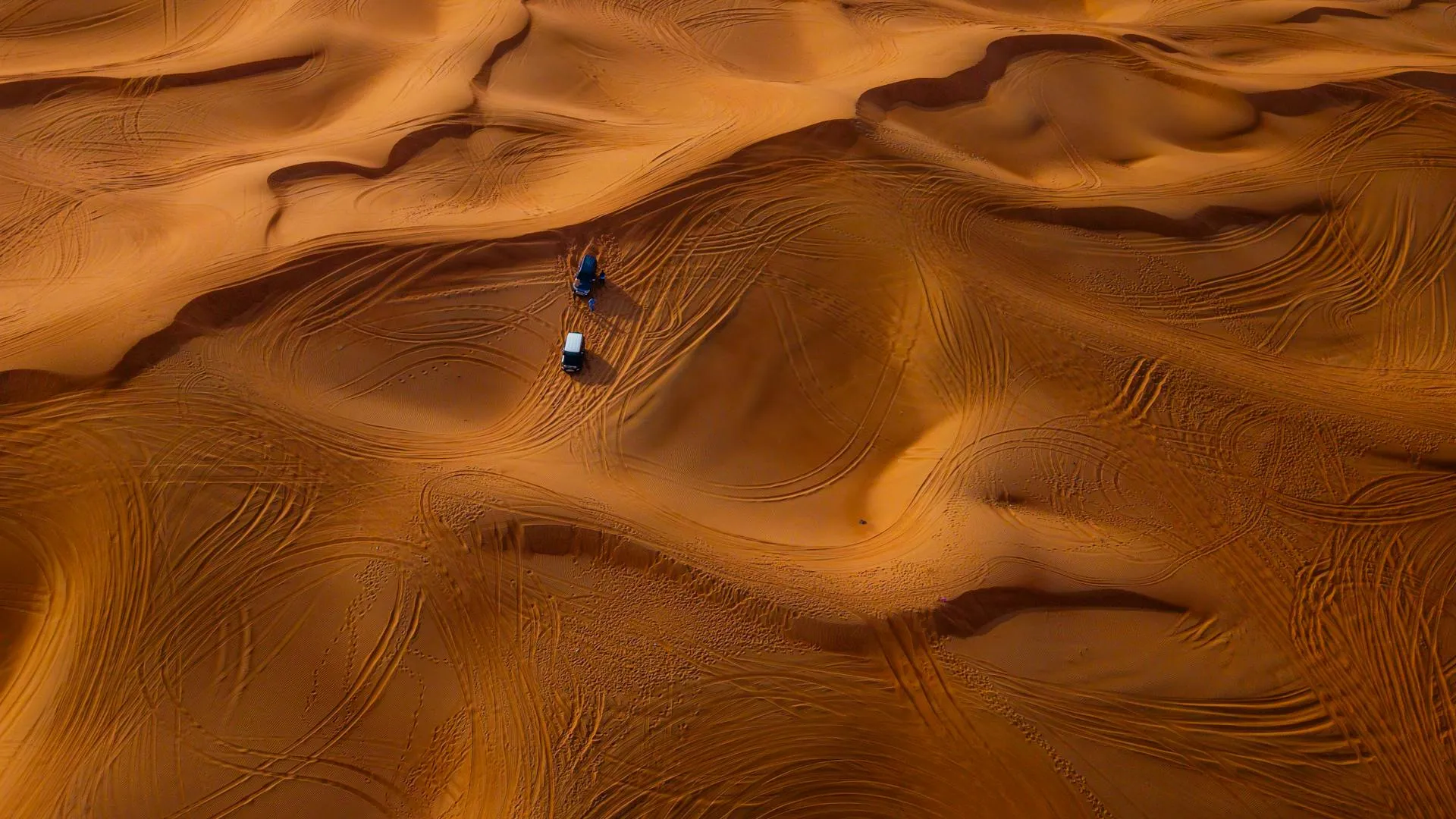 Desert print