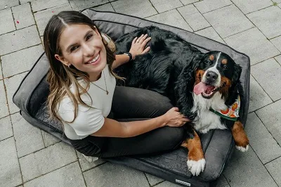 Recent post