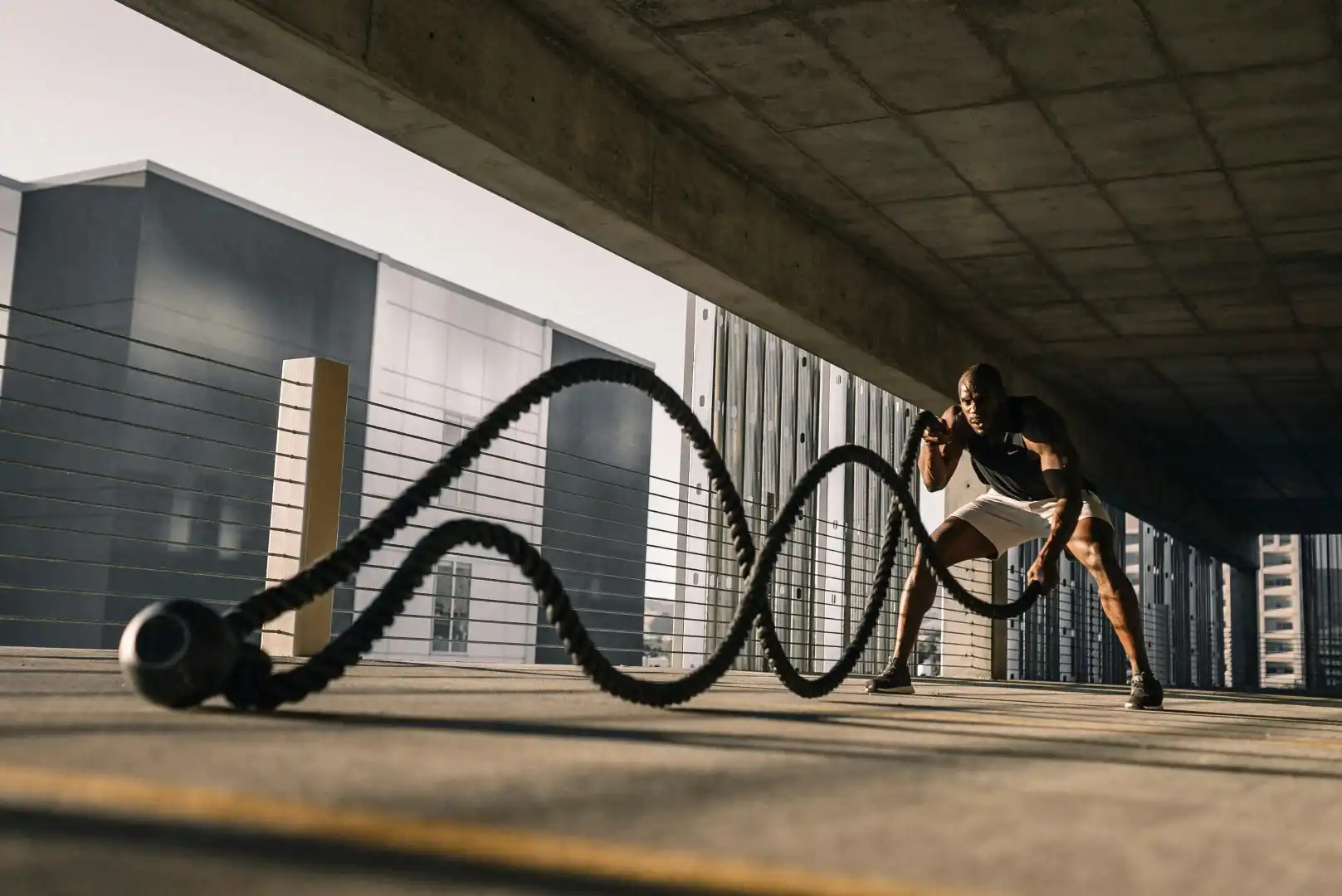 Cardio Equipment