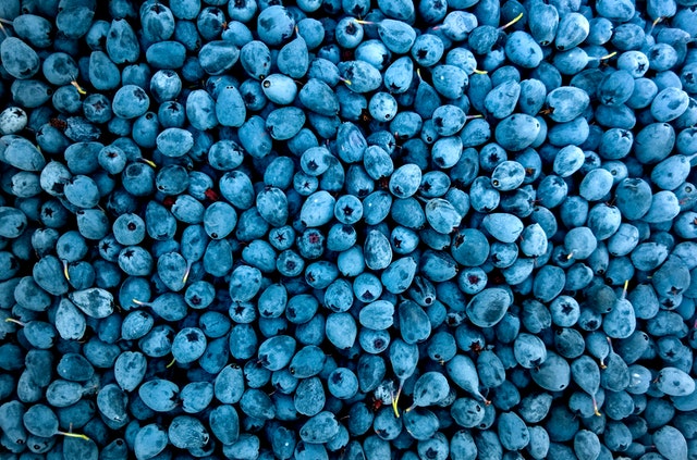 Abundance Berries Blueberries
