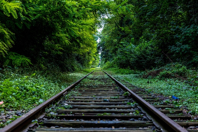 Forest Industry Nature