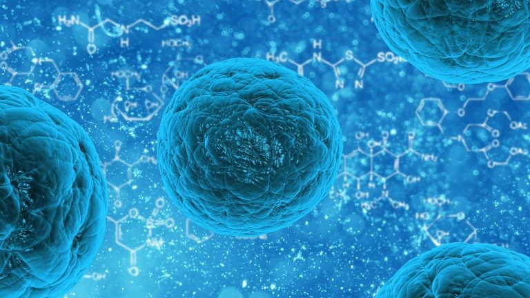WHO Calls for Emergency Meeting as Chinese Virus Spreads to Helpers