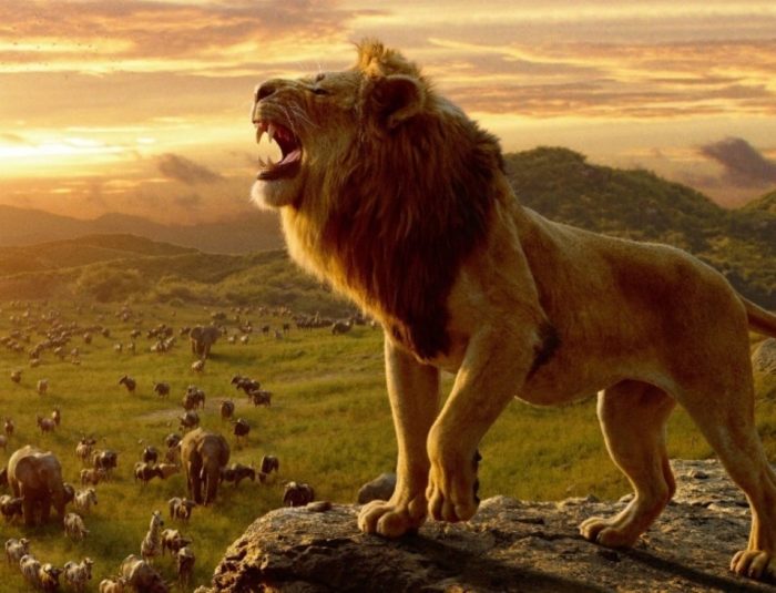What Do The Original ‘Lion King’ Animators Think Of The Remake