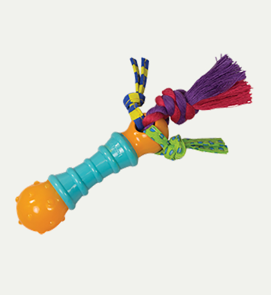 Chew Toy
