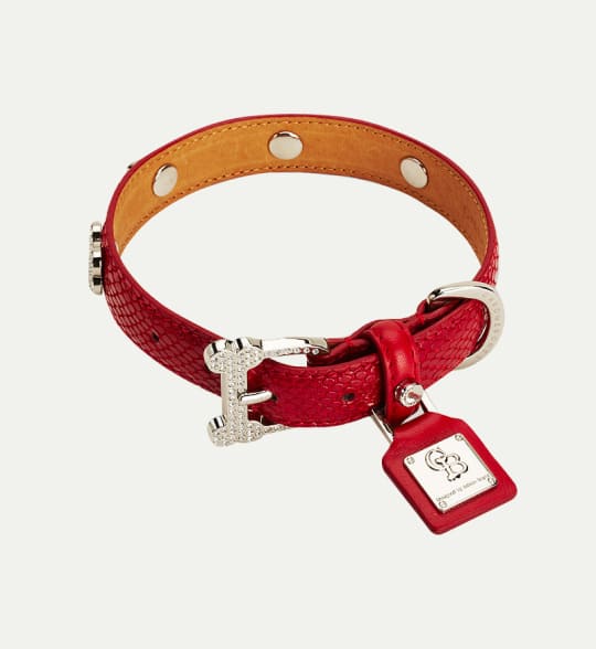 Pet Collar