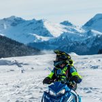 Adventure Alpine Bird