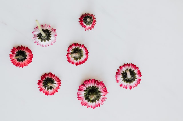 Flowers Composition