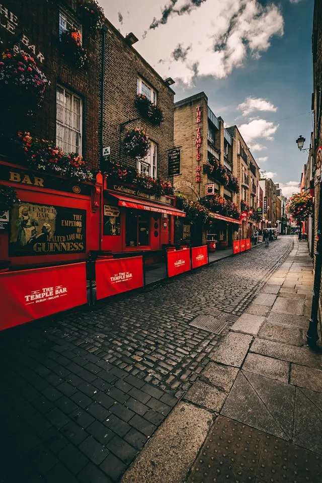 Dublin Cobblestones