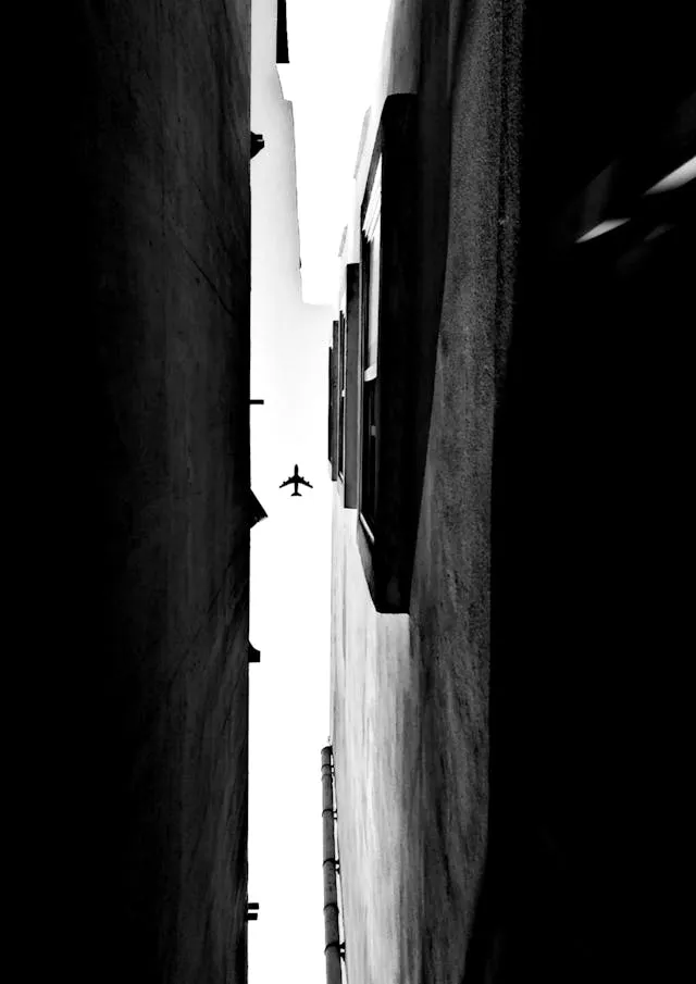 Urban Flight