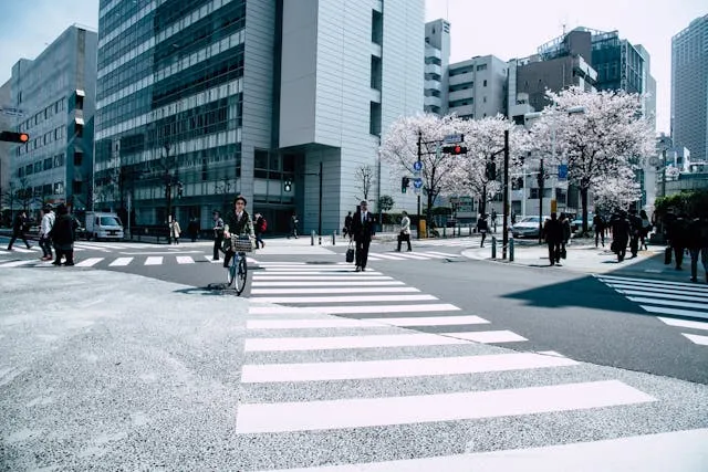 Urban Sakura Crossing