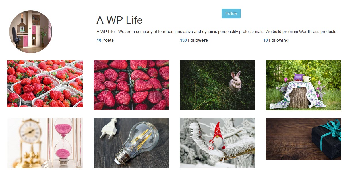 Instagram type Gallery – Custom Insta Profile Plugin