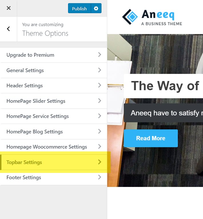 aneeq-wordpress-theme-homepage-topbar-settings