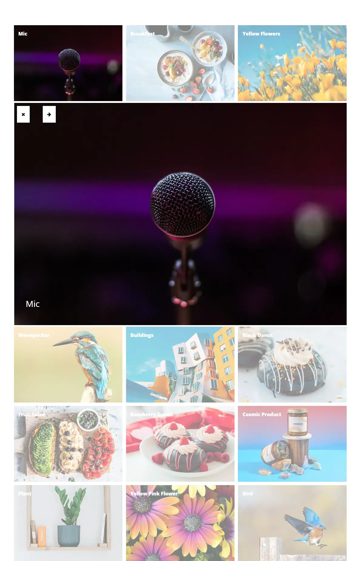 grid-gallery-premium