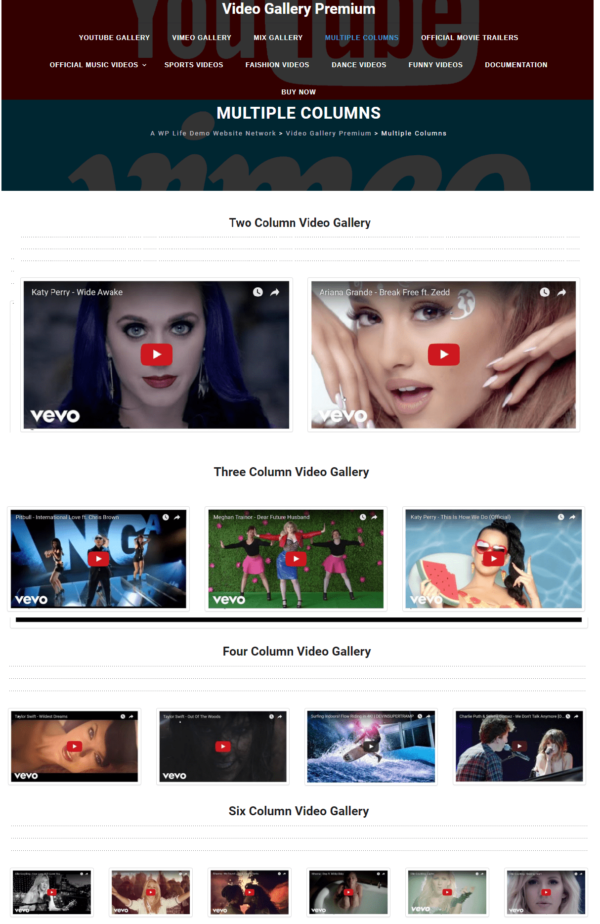 Video Gallery premium