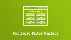 Portfolio Filter Gallery WordPress Plugin