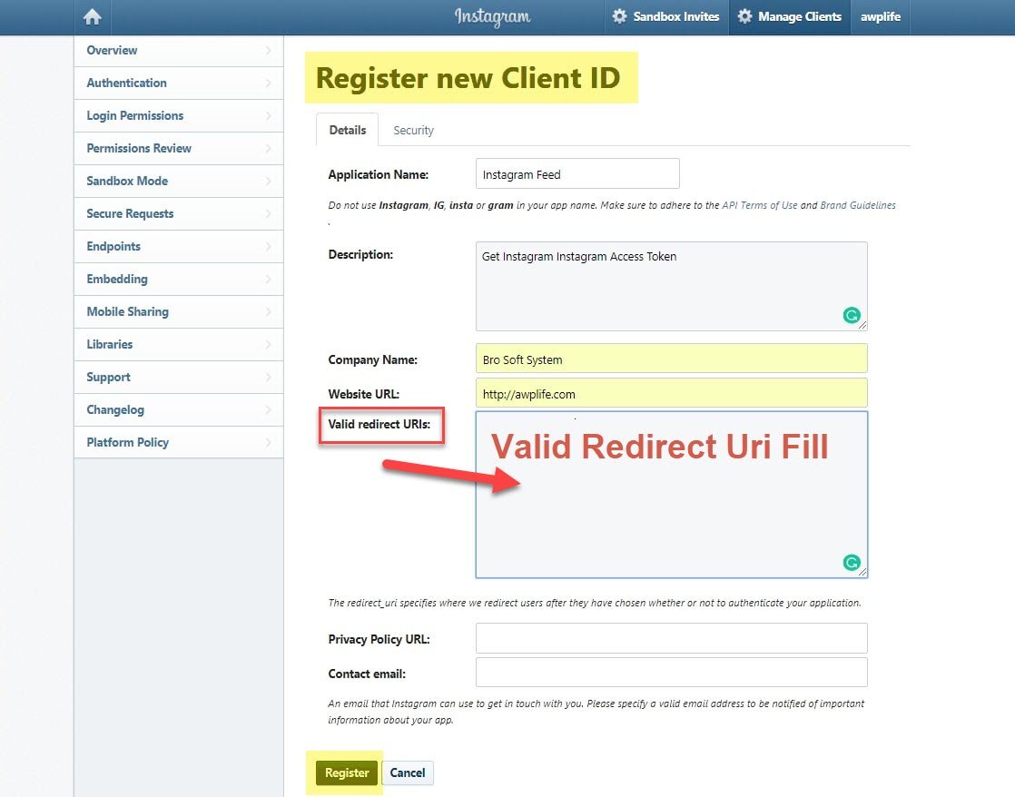 HOW TO GET AN INSTAGRAM ACCESS TOKEN visual data 2