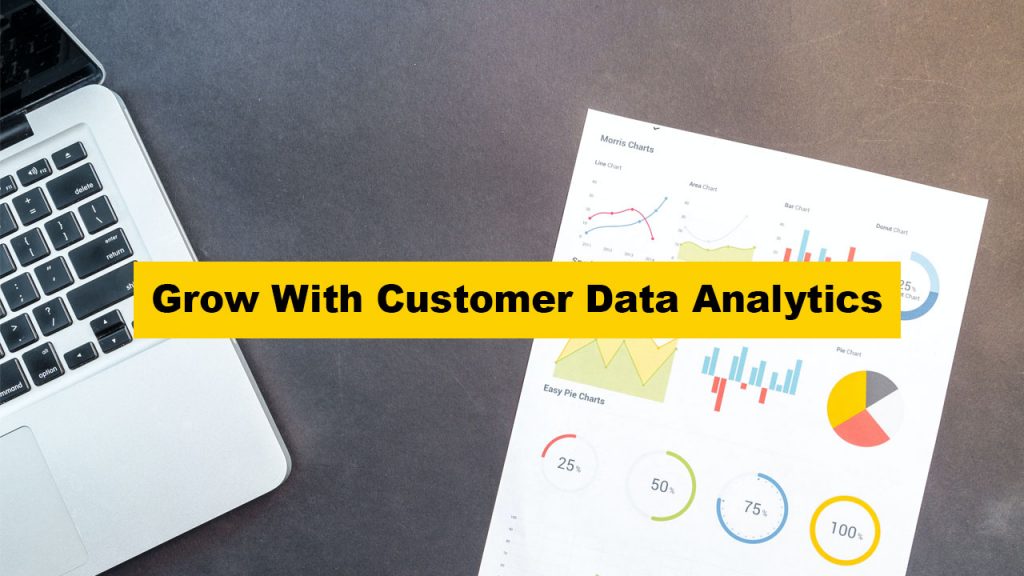 Grow With Customer Data Analytics - A WP Life Blog