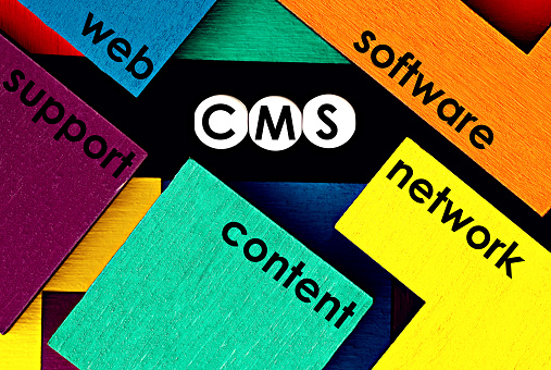 What makes WordPress the most popular CMS