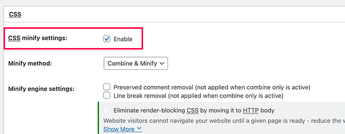 CSS minify settings