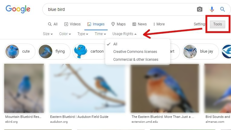 Search Reverse Images on Google