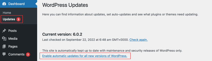 enable WordPress Automatic Updates