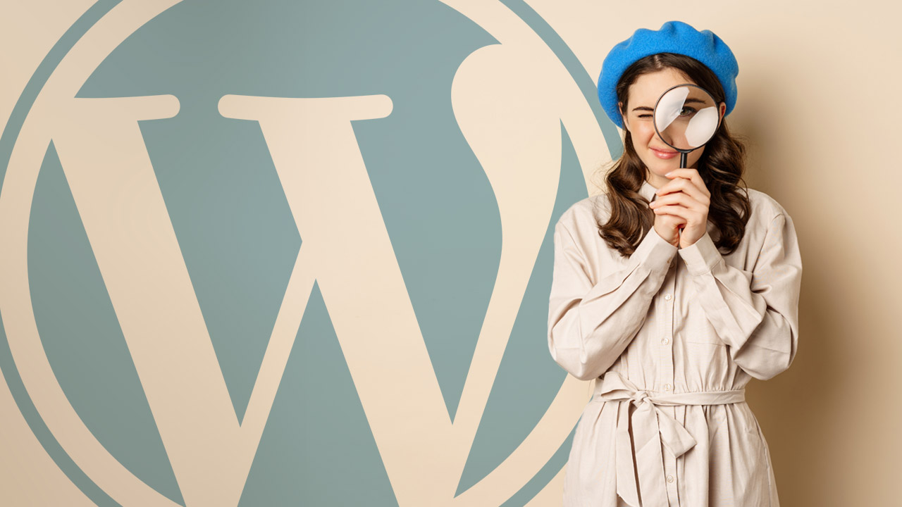 WordPress Theme Detector: Find What Theme a Site is Using