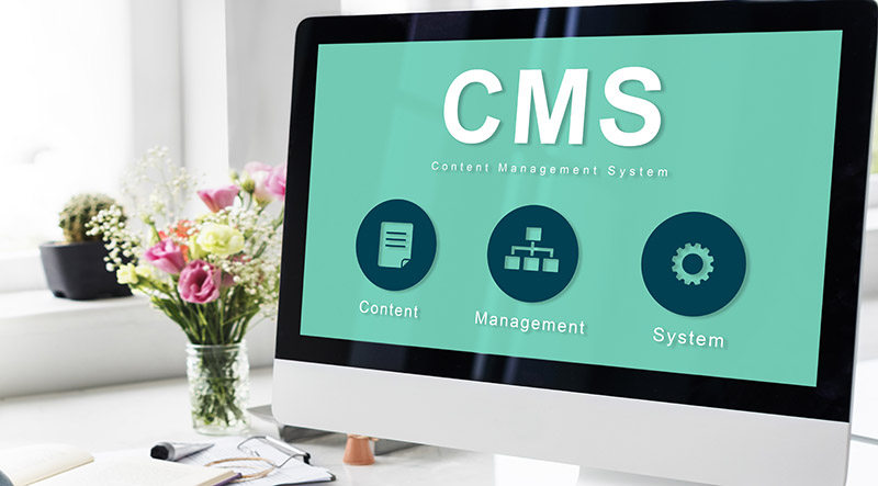 Factors to Consider when Choosing a CMS Platform
