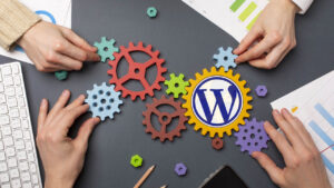 Customization WordPress Services