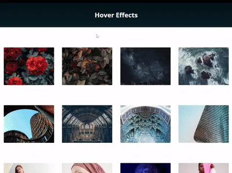 Hover Effects